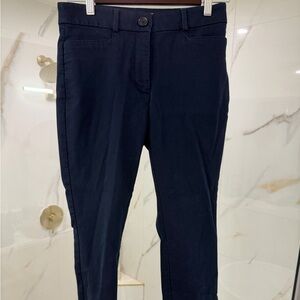 LOFT Midnight Blue Skinny Pants